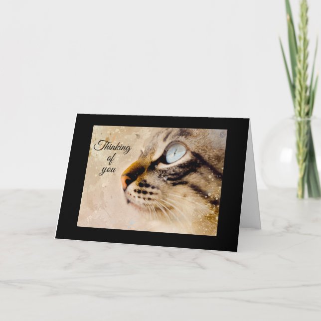 Thinking of You From the Cat Folded Greeting Card (Front)