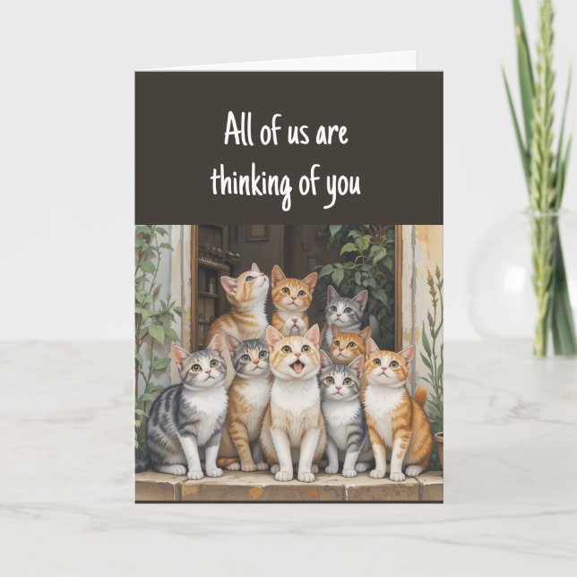 Thinking of You Fun Group Of Cats  Card (Front)
