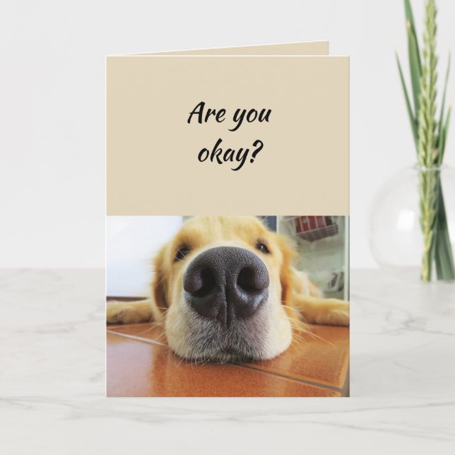 Thinking of You Funny Dog Nose it's been Ruff Card (Front)