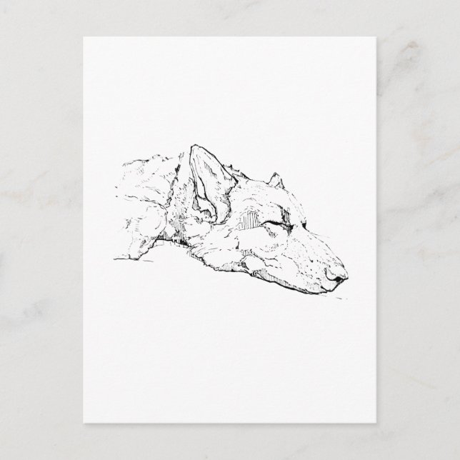 Thinking of you, German Shepherd  Postcard (Front)