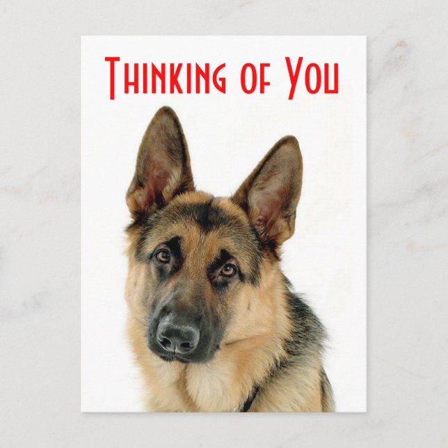 Thinking Of You German Shepherd Puppy Dog Postcard (Front)