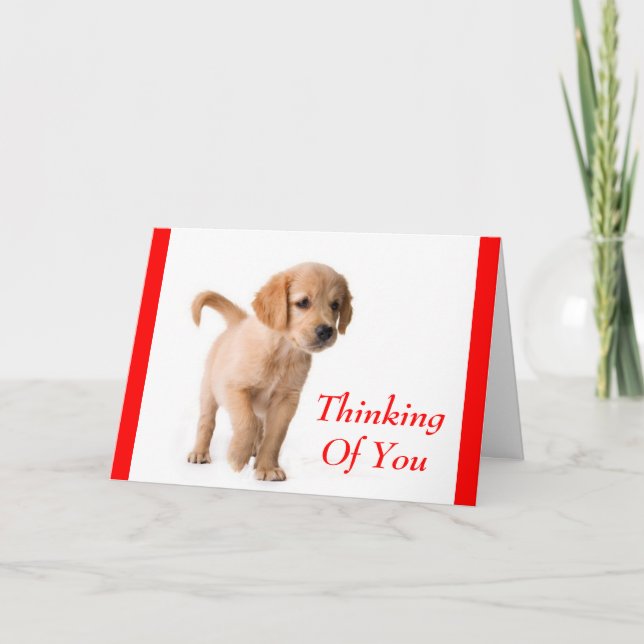 Thinking Of You Golden Retriever Puppy Dog Card (Front)
