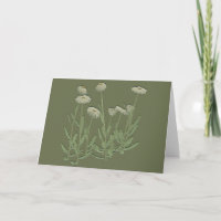 Thinking of you  Green Daisy greeting