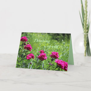 Thinking of you. . .Greeting Card