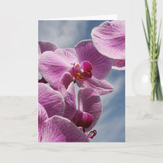 Thinking Of You Greeting Card, Beautiful Orchid Card