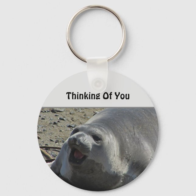 Thinking Of You Grey Elephant Seal Ocean Animal Key Ring (Front)