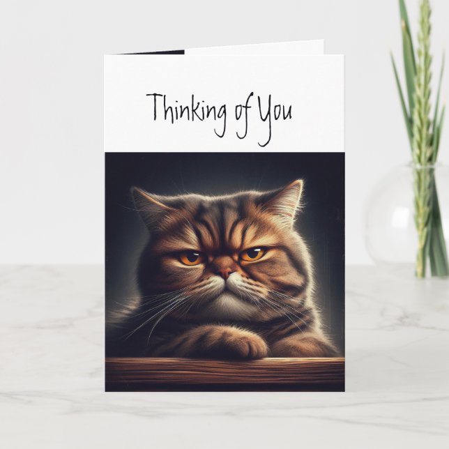 Thinking of You Grumpy Grouchy Cat Kitten Fun Card (Front)