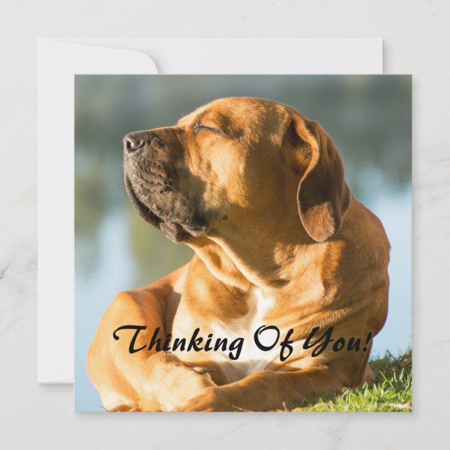 Thinking of You Holiday Card (Front)