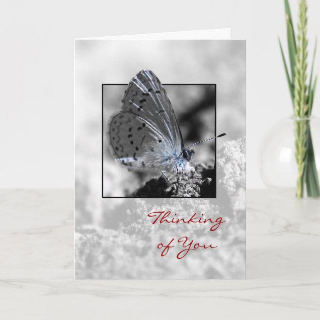 Thinking of You Holly Blue Butterfly Greeting Card (Front)