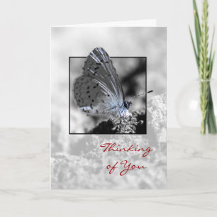 Thinking of You Holly Blue Butterfly Greeting Card