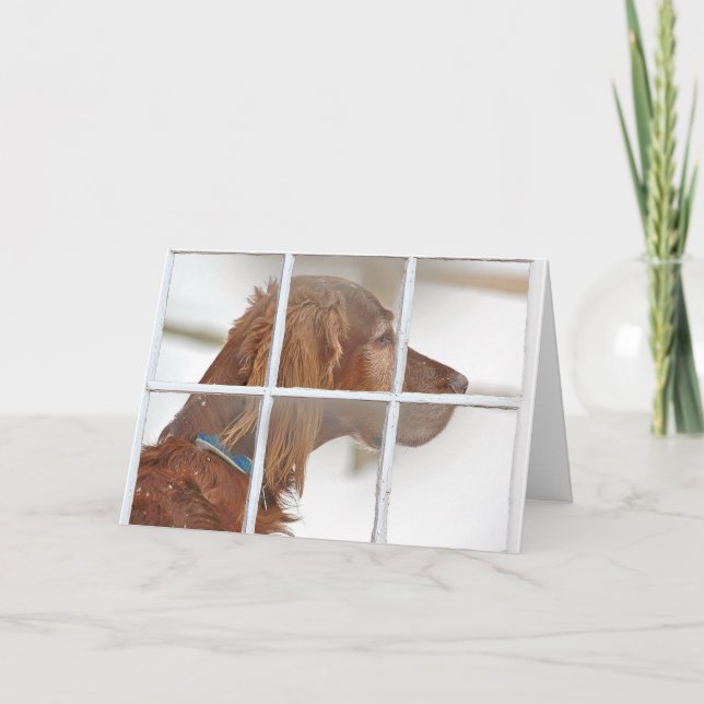 thinking of you-Irish Setter in snow Card (Front)