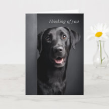 Thinking of You Labrador Retriever