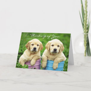 Thinking of You Labrador Retriever Puppies Card