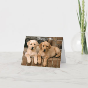 Thinking of You Labrador Retriever Puppies Card