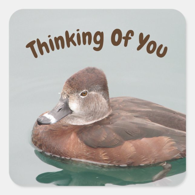 Thinking Of You Lake Duck Nature Cheer Up Square Sticker (Front)