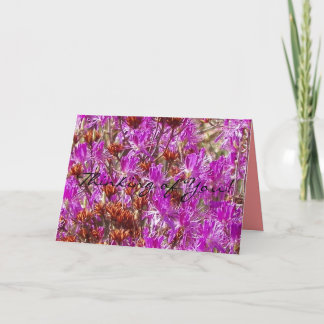 Thinking of You! Lambs Kill Wildflower Card