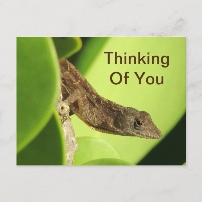 Thinking Of You Leaves Reptile Gecko Friendship Postcard (Front)