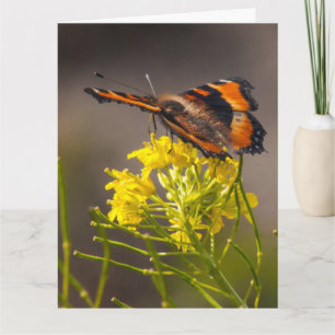 Thinking Of You Milbert's Tortoiseshell Butterfly Card