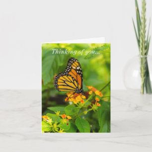 Thinking Of You Monarch On Lantana Card
