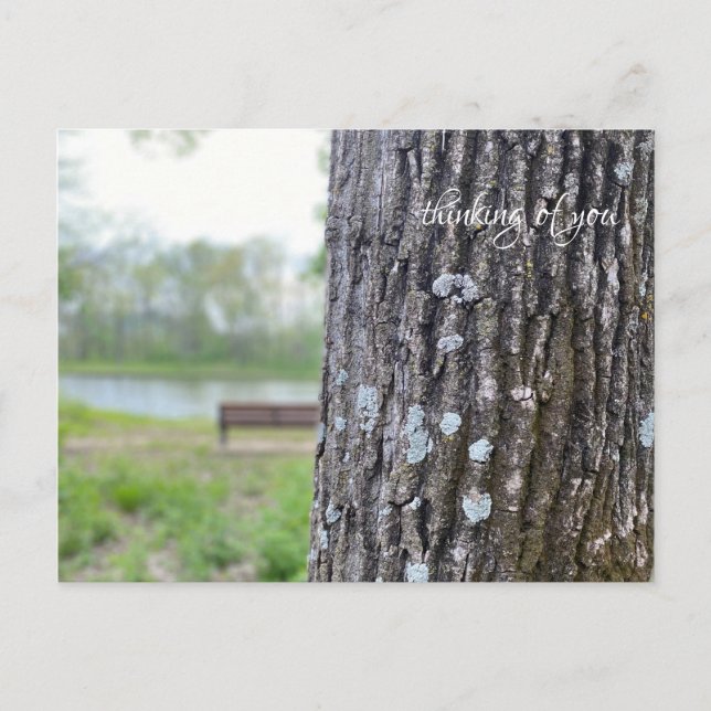 Thinking of You, nature, park bench Postcard (Front)