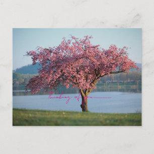 thinking of you nature  postcard