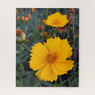 Thinking of You Orange Cosmos Photograph Jigsaw Puzzle