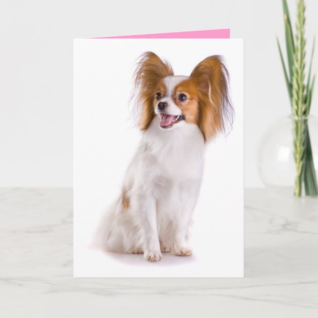 Thinking of You Papillion Puppy Dog Greeting Card (Front)