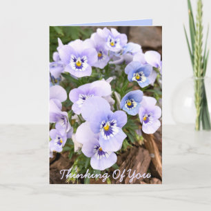 Thinking of You Pastel Purple Pansies Photo Custom Card