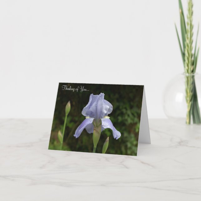 Thinking of You Periwinkle Iris Rain Drops Card (Front)