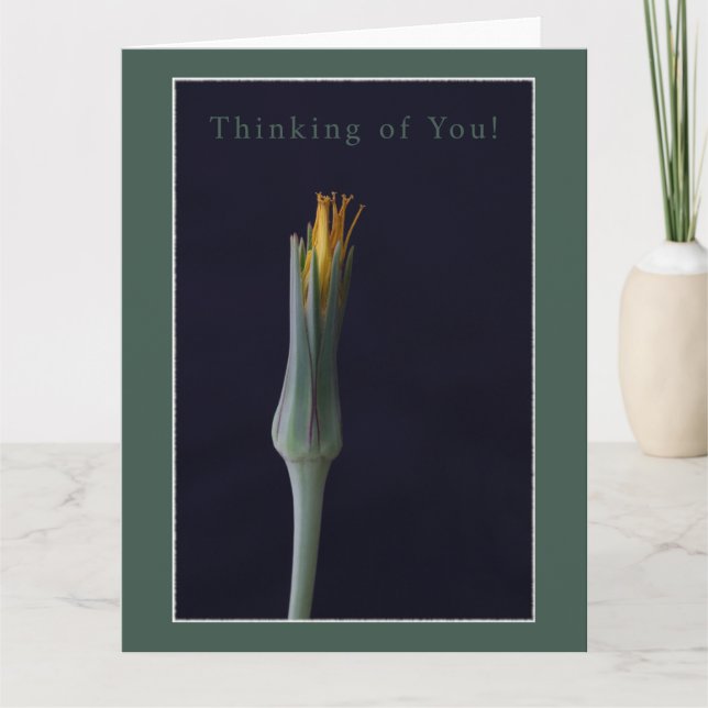 Thinking of You! Personalised Floral Greeting Card (Front)