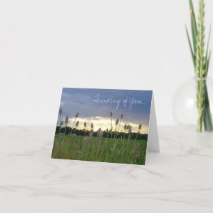 'Thinking of You' photo notecard