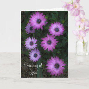 Thinking of You - Pink Floral Card Ecc 3:11