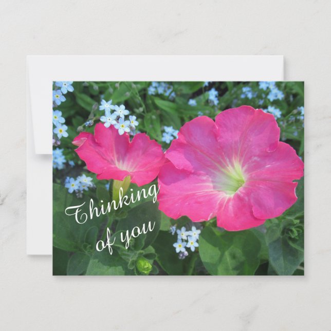 Thinking of You Pink Petunia Floral Flat Card (Front)