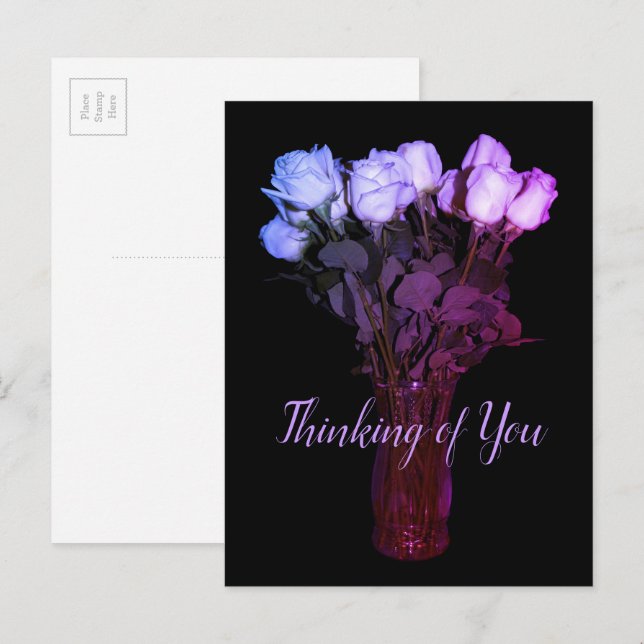 Thinking of You Pink Purple Rose Floral Photograph Postcard (Front/Back)