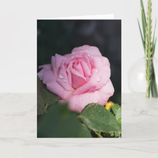 Thinking of You - Pink Rose Card