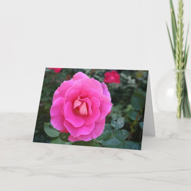 Thinking of You Pink Rose Card (Front)