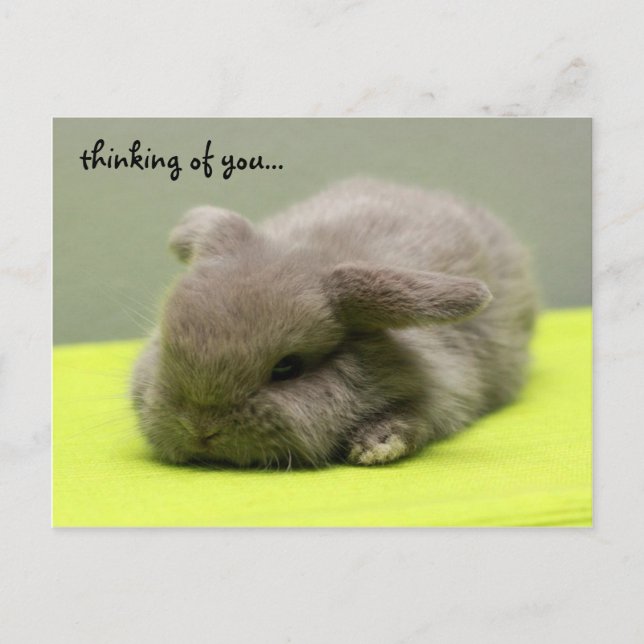 thinking of you... postcard (Front)