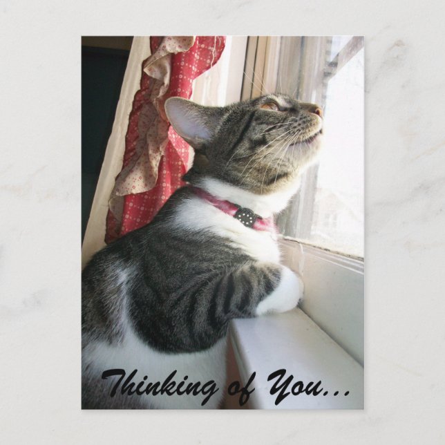 Thinking of You... Postcard (Front)