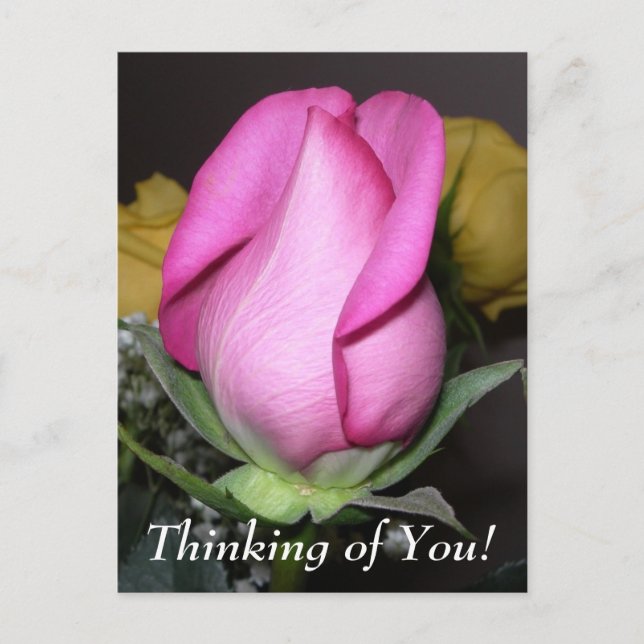 Thinking of You! Postcard (Front)