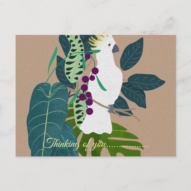 thinking of you  postcard (Front)