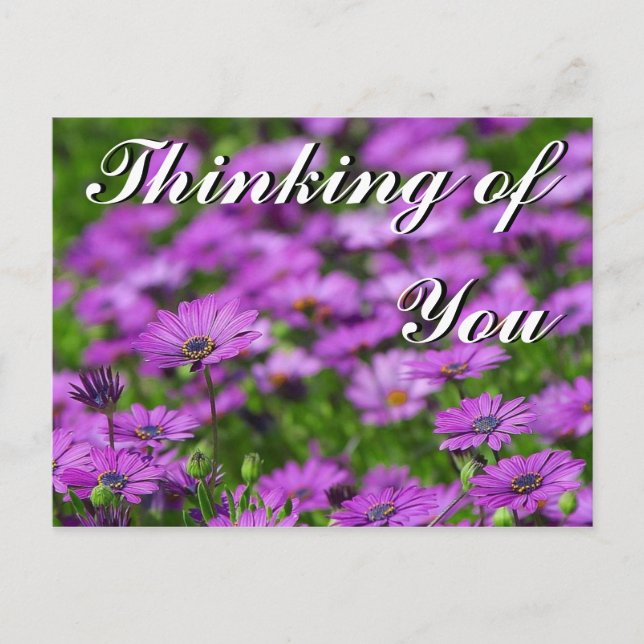Thinking of You Postcard (Front)
