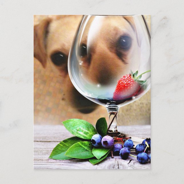 Thinking of You_ Postcard (Front)