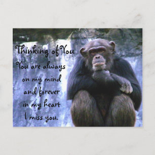Thinking of You_ Postcard