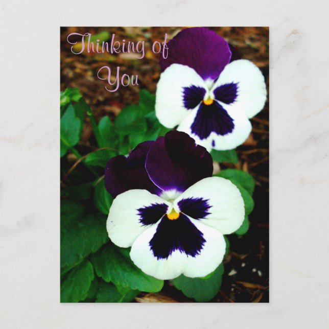 Thinking of You_ Postcard (Front)