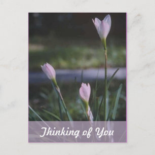 Thinking of you postcard