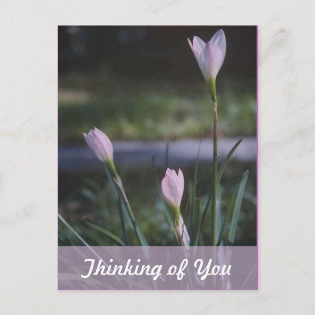 Thinking of you postcard (Front)