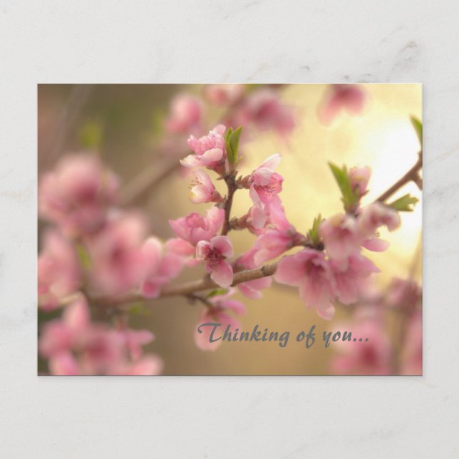 Thinking of you... postcard (Front)