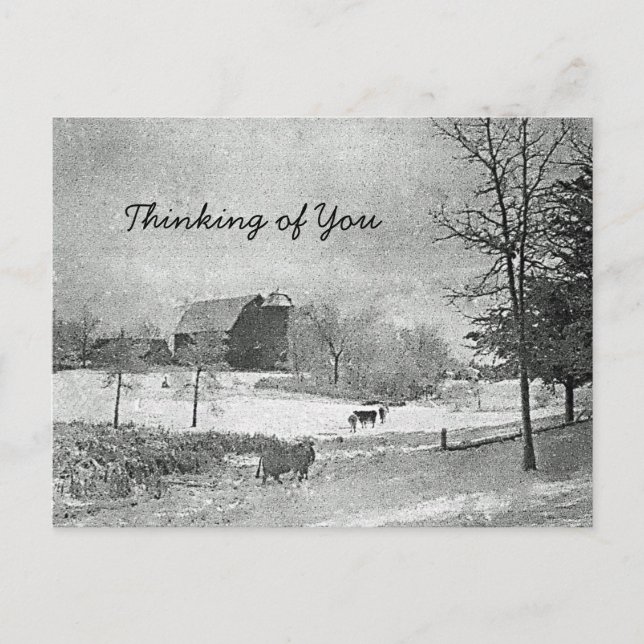 Thinking of You Postcard (Front)