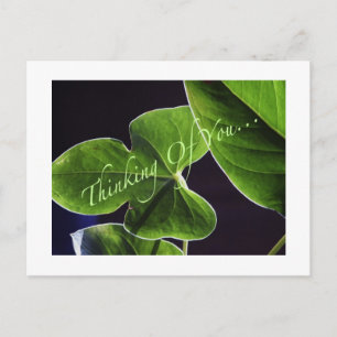 Thinking of You... Postcard