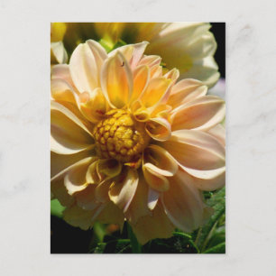 Thinking of you_ Postcard